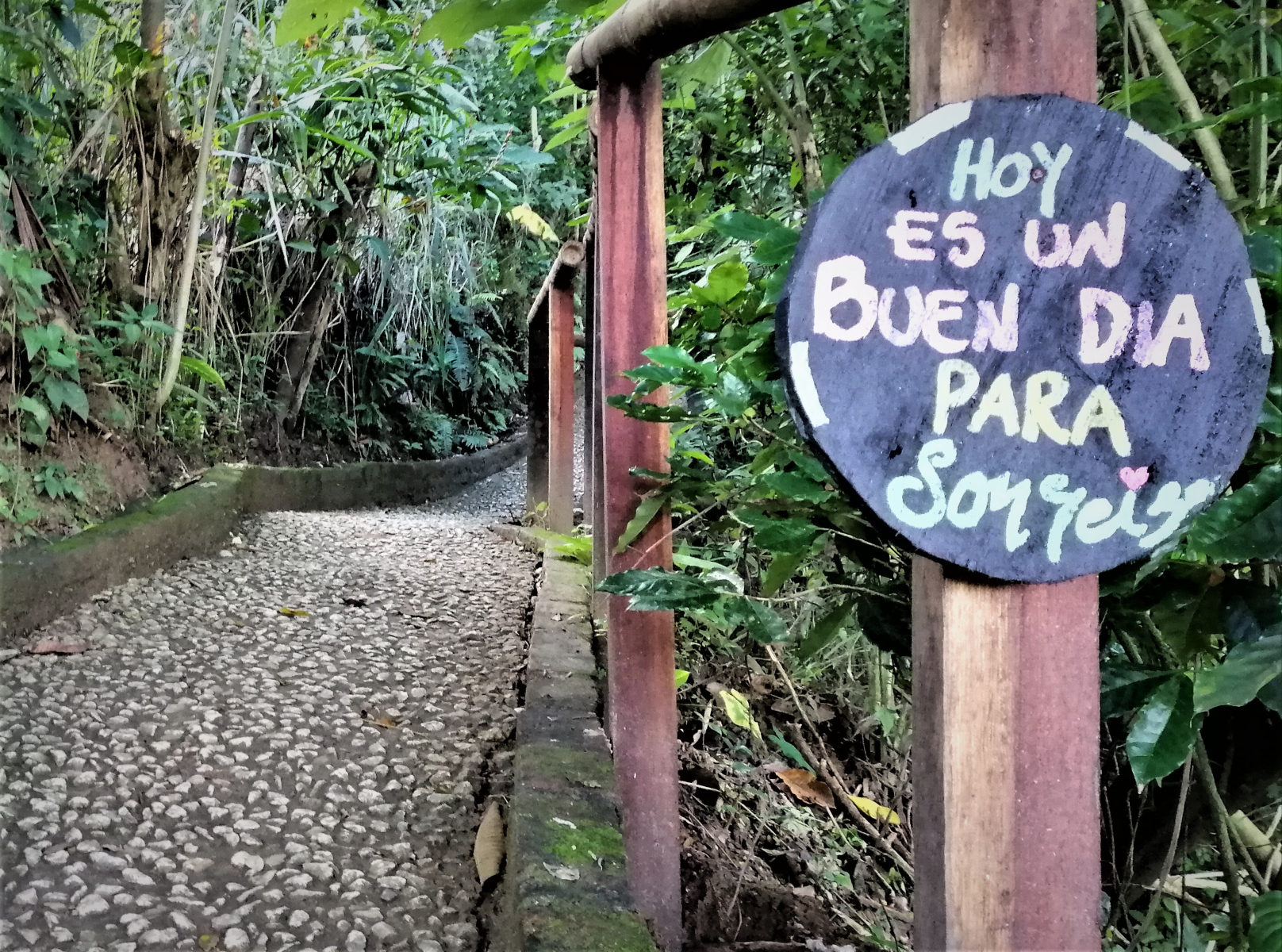 Optimism - Optimistic Sign: Today is a Good Day to Smile (in Spanish) on the path on short, inclined path to Casa Loma, in Minca, Magdalena, in the foothills of the Sierra Nevada Mountains, Colombia