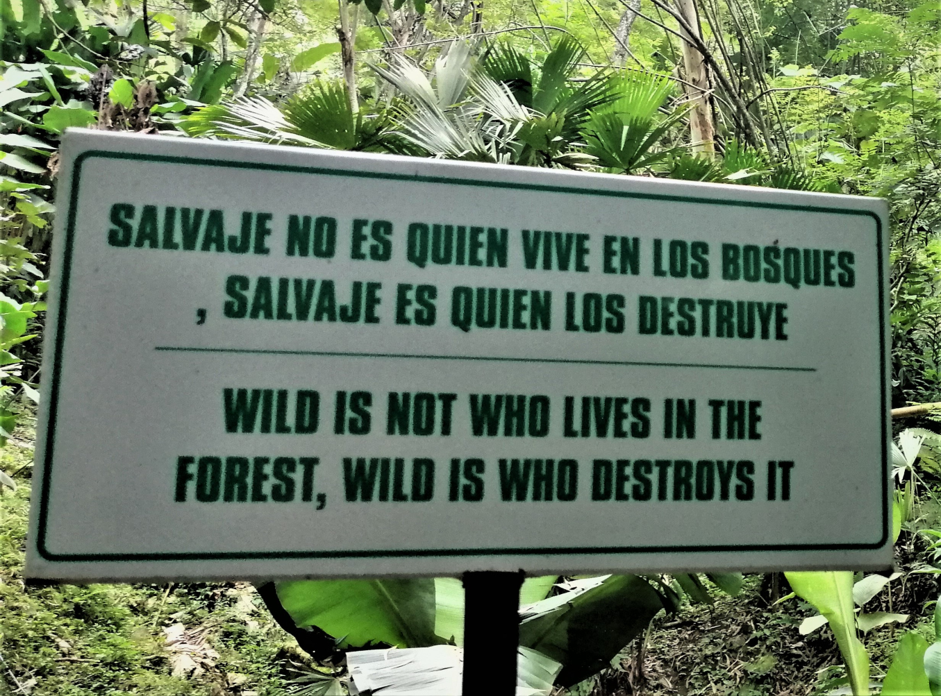 Sign with Spanish to English Translation