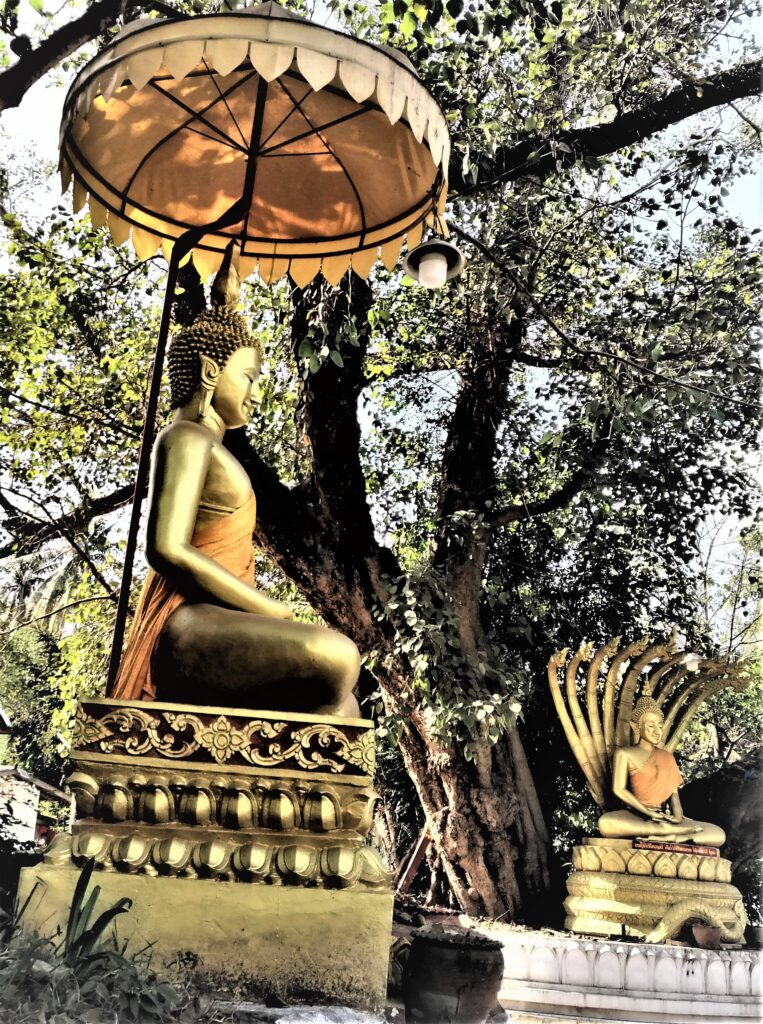 High up Buddhas in eternal meditation stances  amid lush greenery. In the post: Infinite Earth Art: Temples of Luang Prabang.