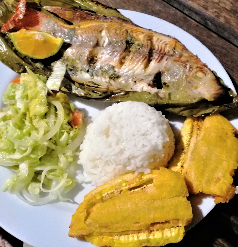 End of the World - The Last Foreign Vagabond - A dinner of fresh river fish, small salad, rice and plantains from Posada Fin del Mundo in Mocoa, Putumayo Colombia