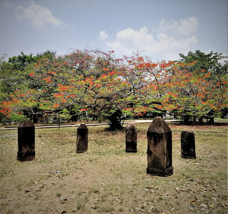 Grass, leaves, five ancient, erect stones and a tree blooming copious red flowers under a blue and red sky. In post: Visiting The Khon Kaen National Museum.