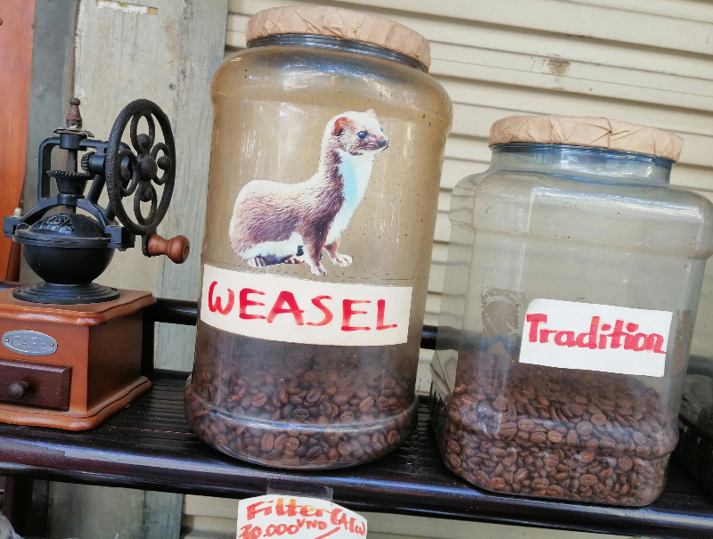 Vintage coffee grinder, jar of Weasel coffee beans and a jar of tradition coffee beans on a shelf, in a café, Hanoi, Vietnam.